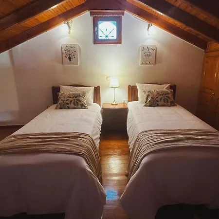 Margo Traditional House *