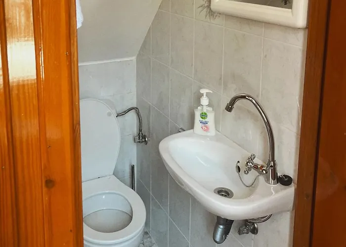 Margo Traditional House